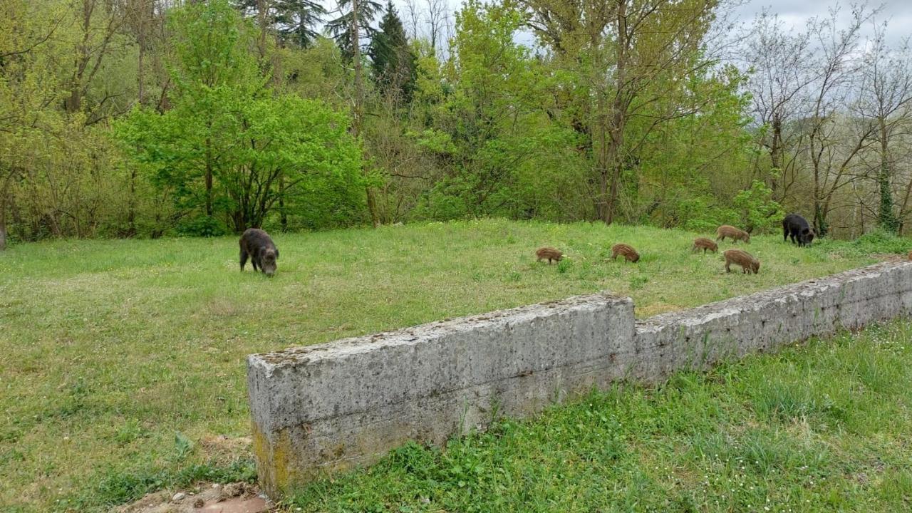 B&B Villa S Anna Hospitality Solutions Arquata Scrivia Kültér fotó