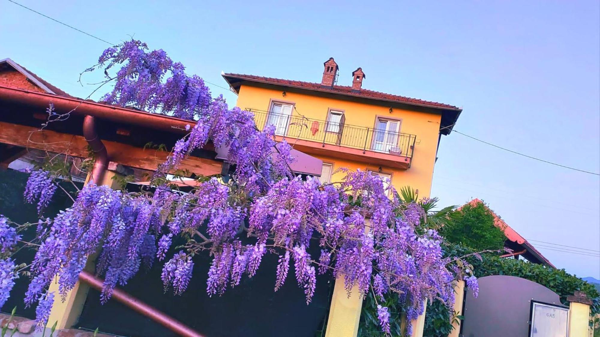 B&B Villa S Anna Hospitality Solutions Arquata Scrivia Kültér fotó